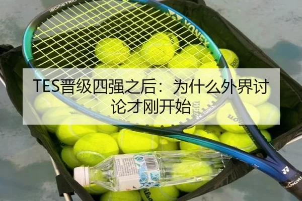 TES晋级四强之后：为什么外界讨论才刚开始